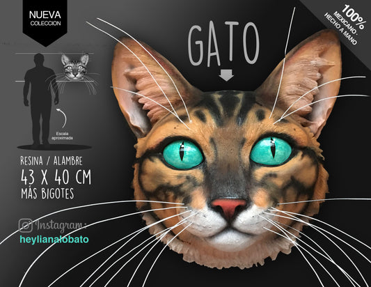 Gato